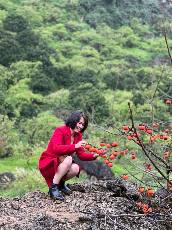 HÀ NỘI - MỘC CHÂU - MAI CHÂU - HÀ NỘI 2N1Đ upload/attachment/thumb/475moc-chau-3-jpg.jpeg