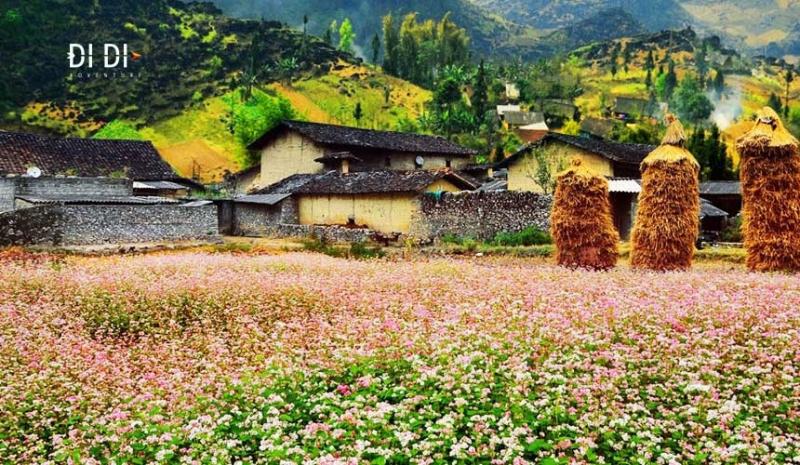 HÀ NỘI - HÀ GIANG - YÊN MINH - ĐỒNG VĂN - HÀ NỘI 3N2Đ upload/attachment/thumb/6479ha-giang-07-jpg.jpeg