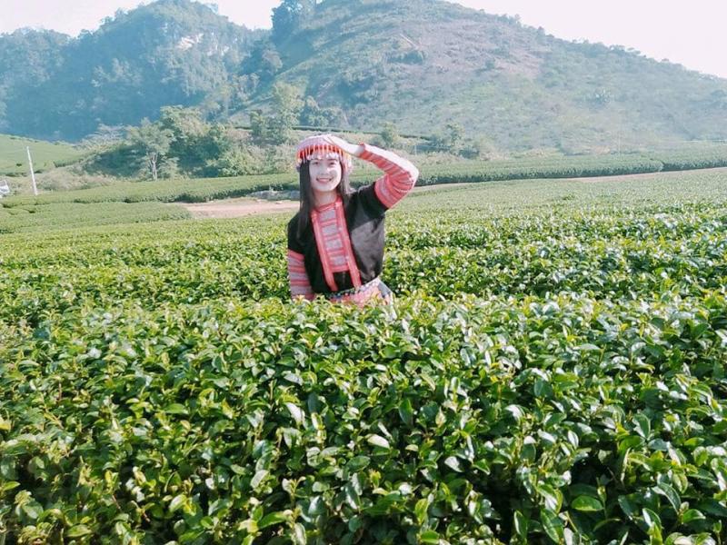 HÀ NỘI - CAO NGUYÊN MỘC CHÂU - HÀ NỘI upload/attachment/thumb/7994moc-chau-14-jpg.jpeg