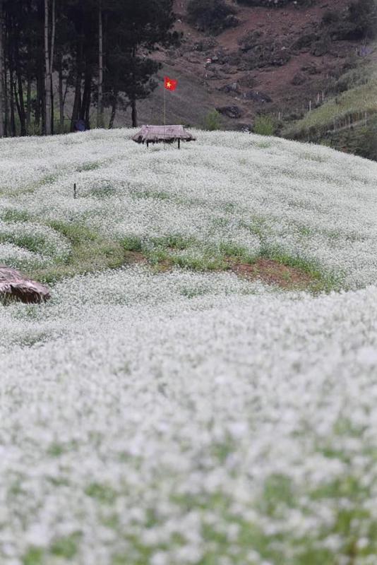 HÀ NỘI - MAI CHÂU - MỘC CHÂU - SƠN LA - ĐIỆN BIÊN - LAI CHÂU - SAPA 5N4Đ upload/attachment/thumb/8259moc-chau-4-jpg.jpeg